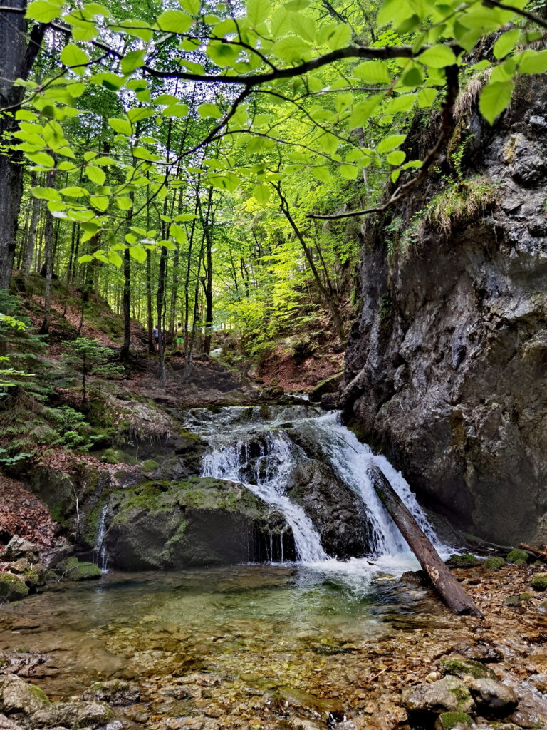 Josefsthaler Wasserfälle Fotos